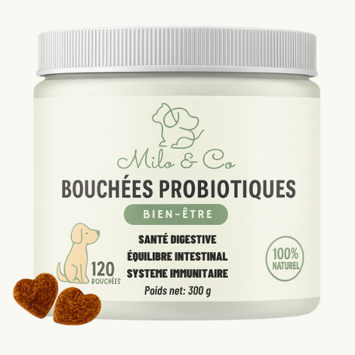 Bouchées Probiotiques Naturelles Milo & Co