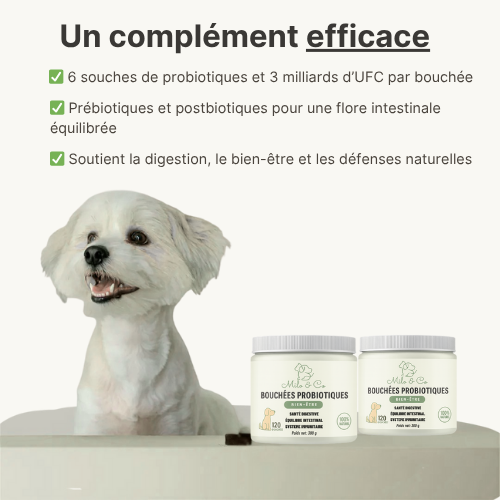 Bouchées Probiotiques Naturelles Milo & Co