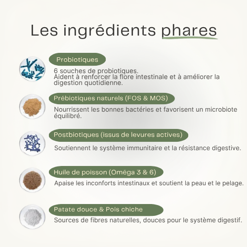 Bouchées Probiotiques Naturelles Milo & Co