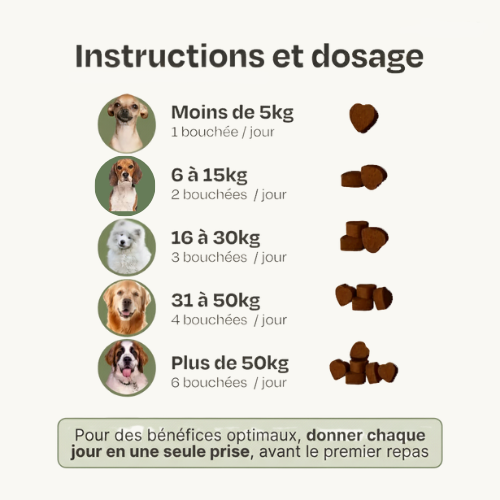Bouchées Probiotiques Naturelles Milo & Co