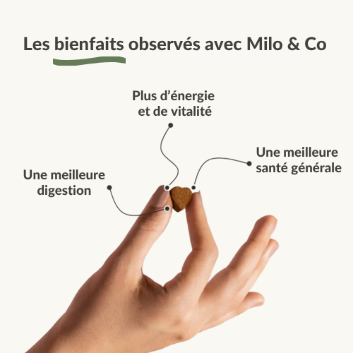 Bouchées Probiotiques Naturelles Milo & Co